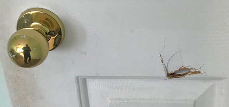 interior door hole repair Thermalito